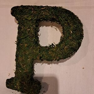 Natural Moss letter "P" Decor 7"